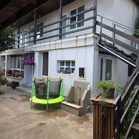 Casa Iasmina * コスティネシュティ